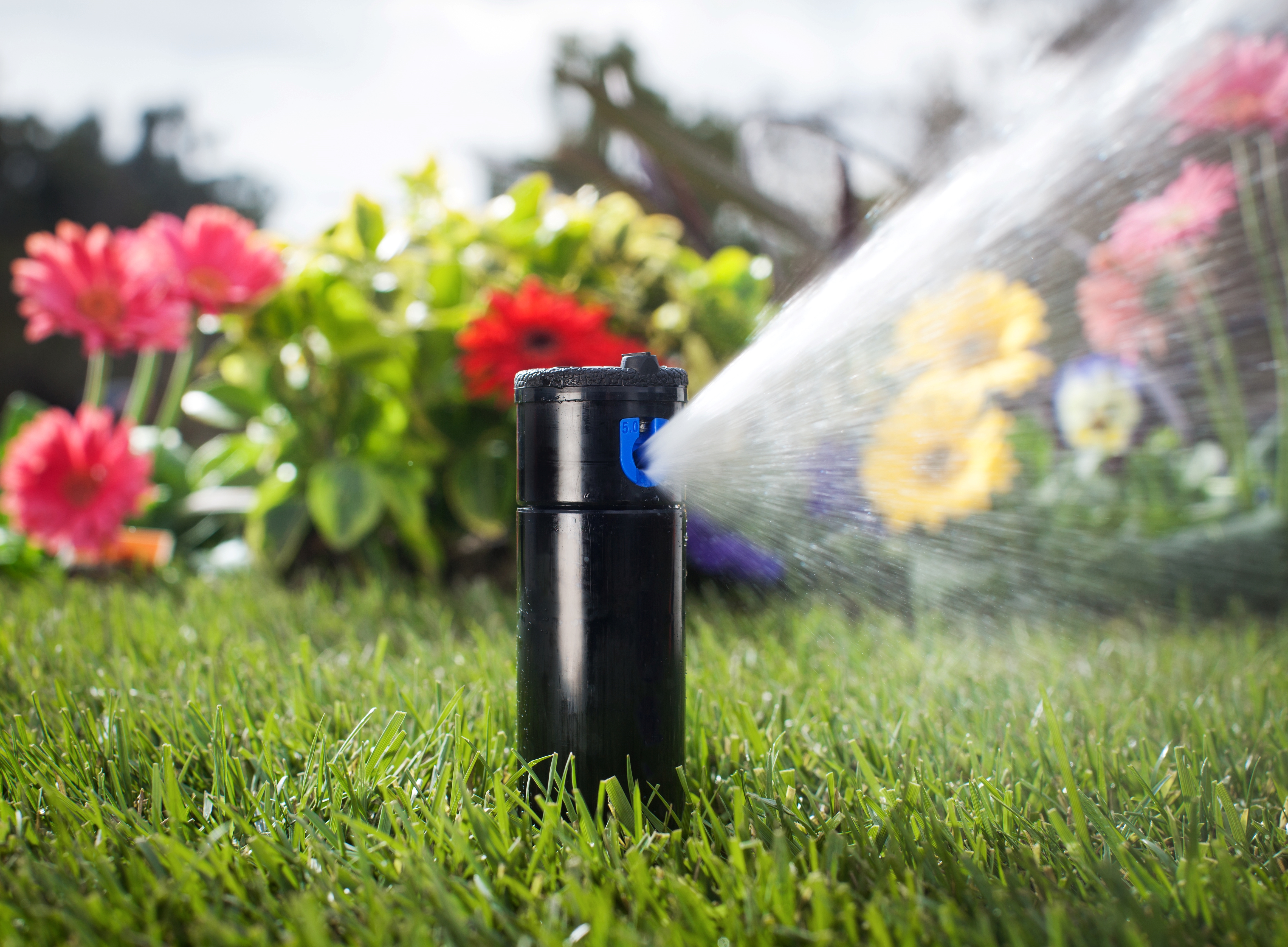 Arrosage automatique