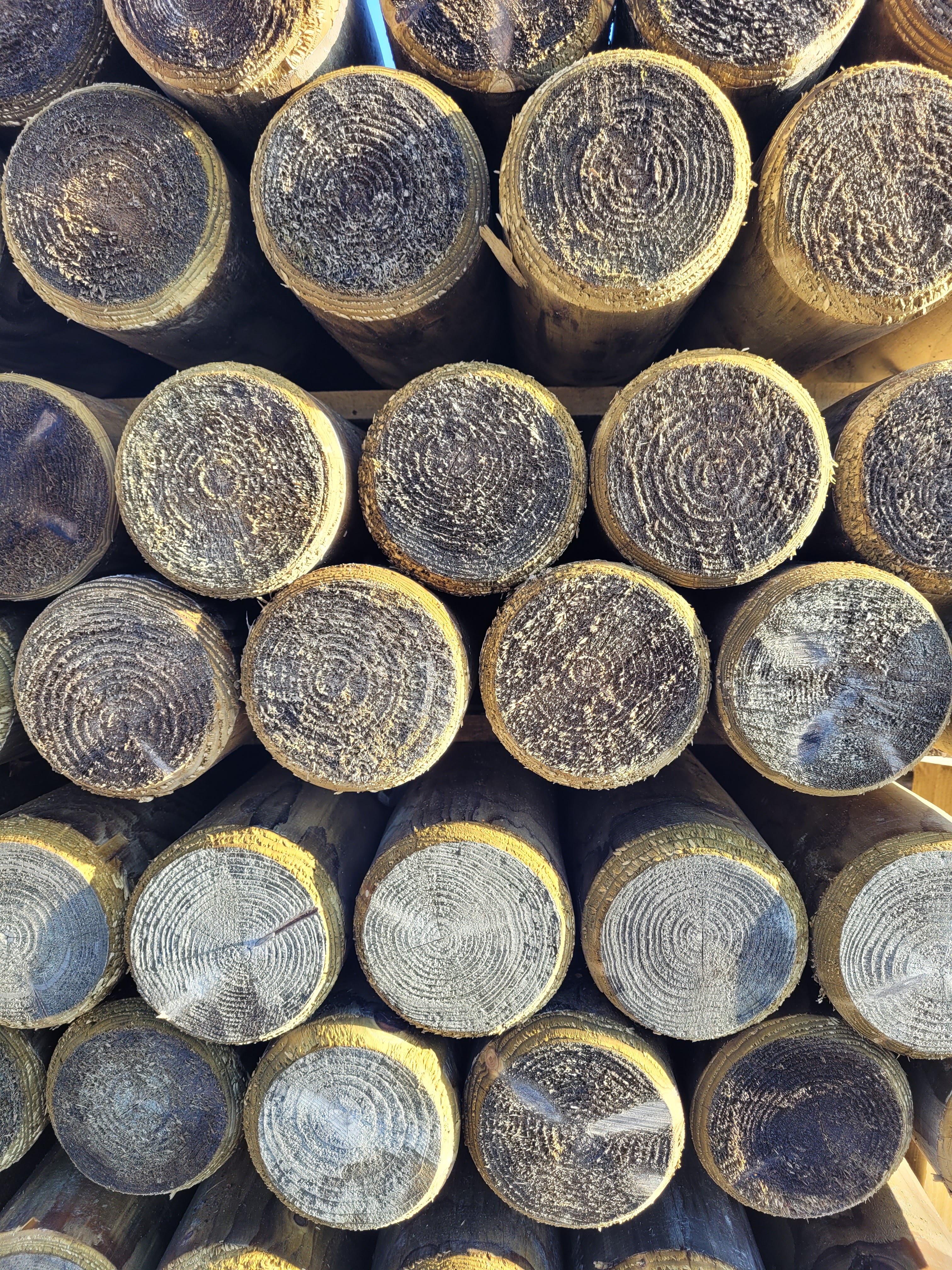 Rondins et demi-rondins